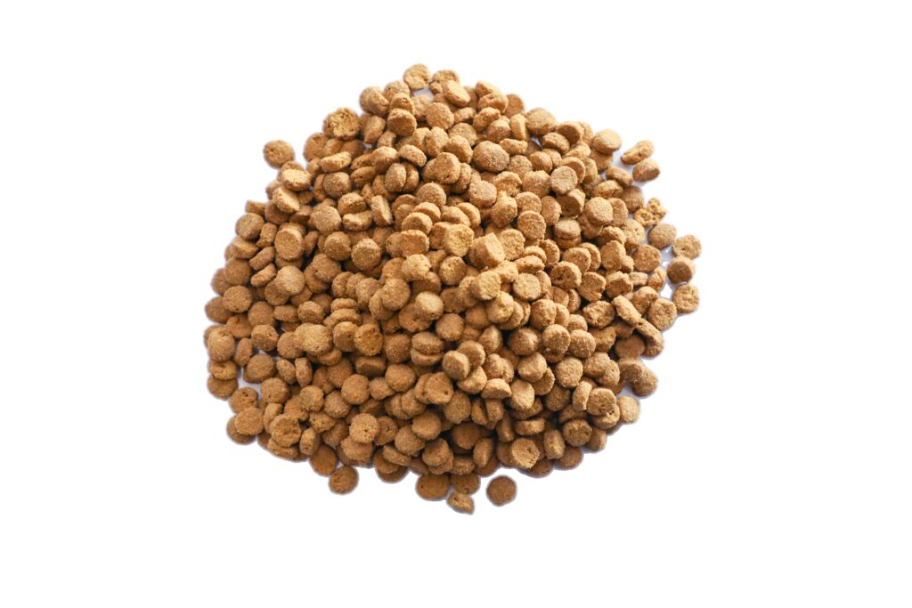 Macro view of custom hypoallergenic pet food kibble texture showing high meat content