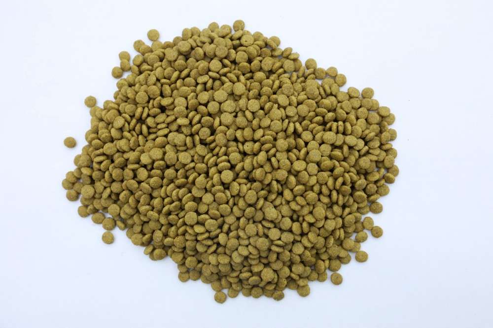 private-label-grain-free-cat-food