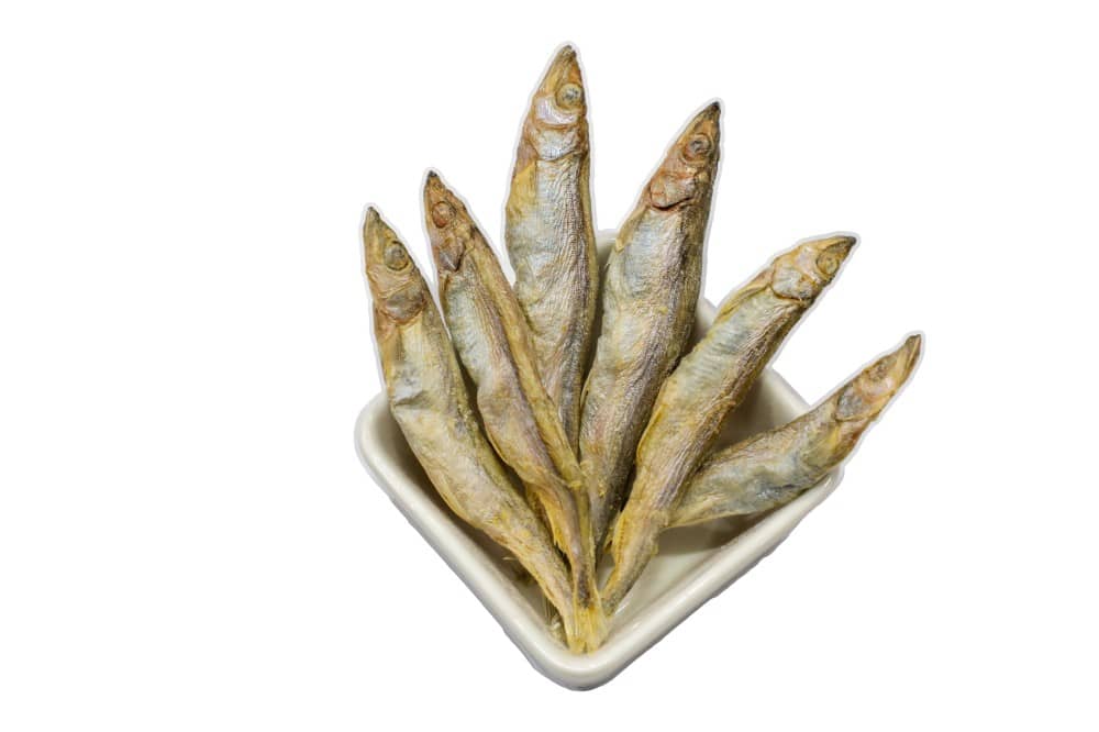 private label freeze dried chicken snacks